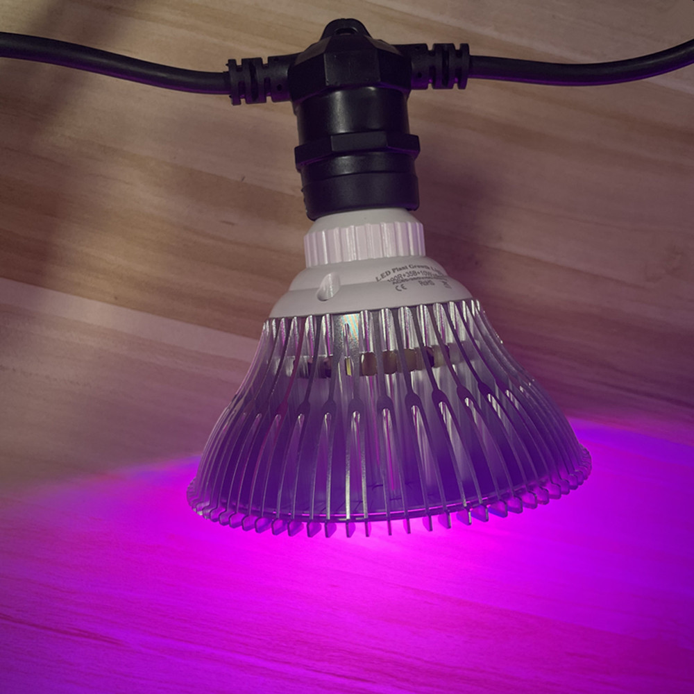 10M Cable LED String Commercia - Led Fairy String Lights review and price