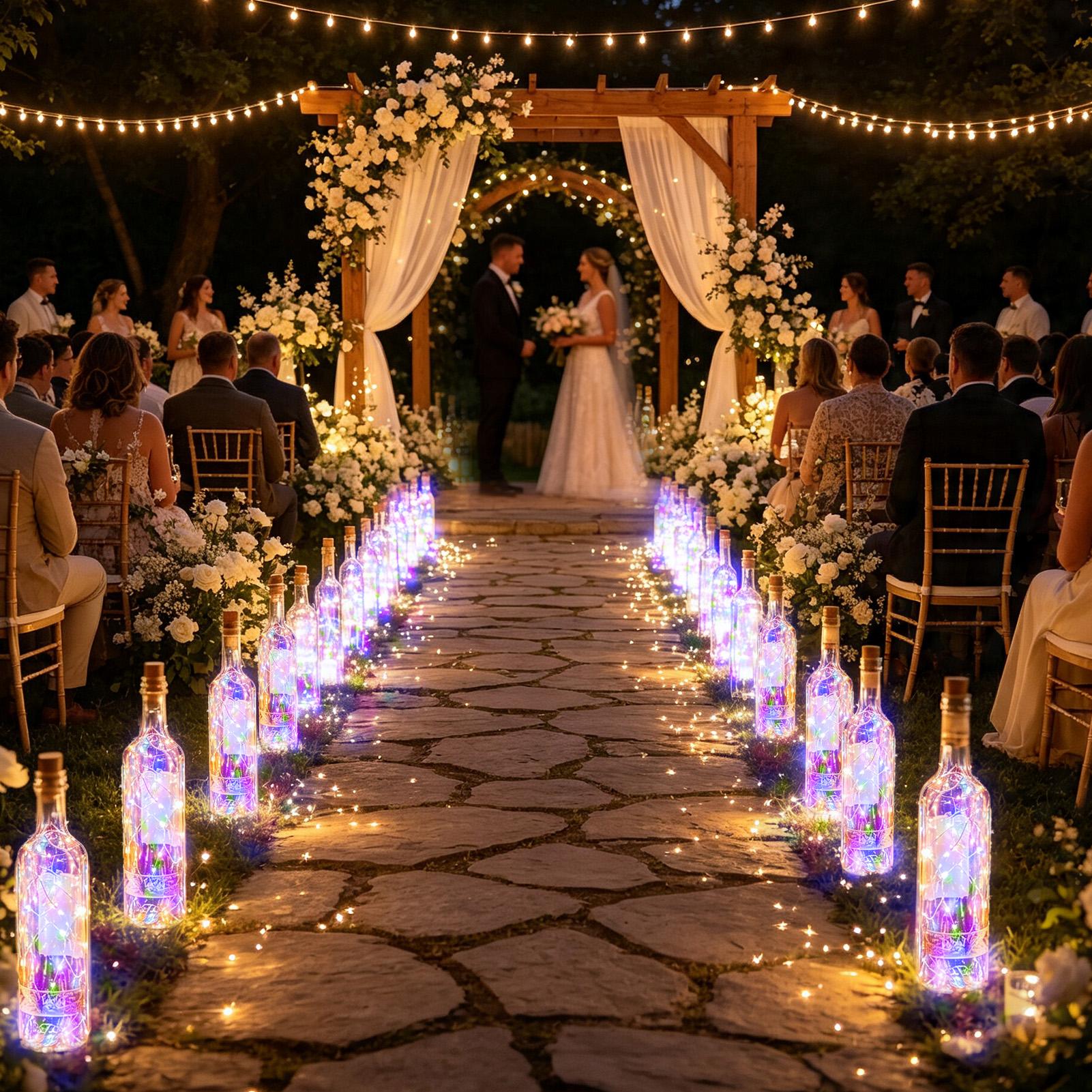 Solar Wine Bottle Lights LED W - Led Fairy String Lights review and price