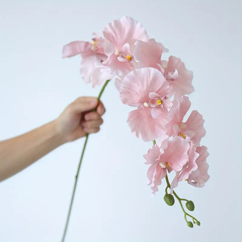 Long Branch Butterfly Orchids  - Christmas Wreath Fake review and price
